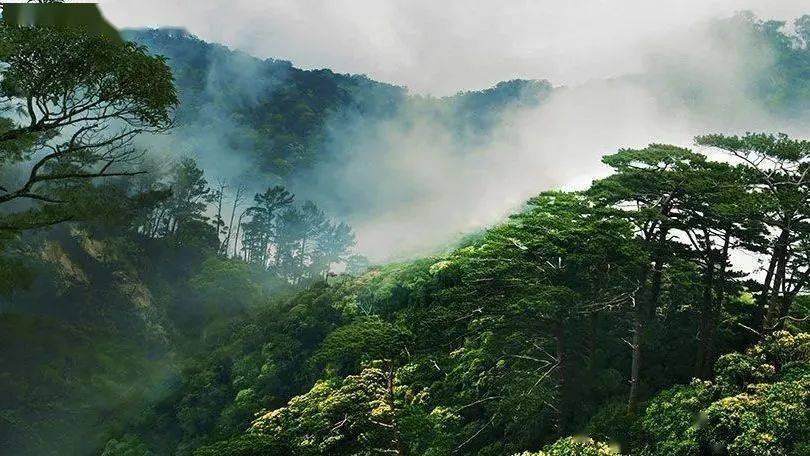 浙江台州农机展成交活跃