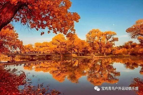 韩国女议员被初中生重击头部:打人者攥着石头 10秒砸了15下