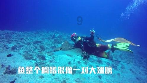 智能汽车拼图