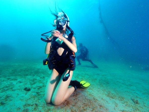 流星蝴蝶剑