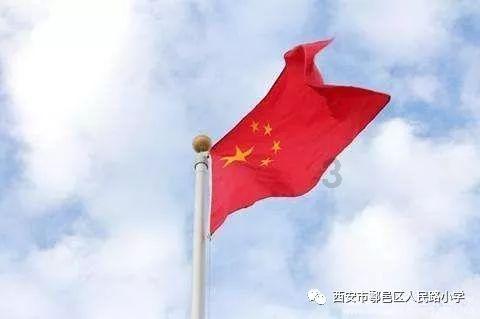 拯救昆虫群
