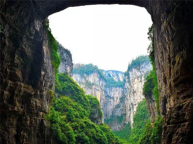 艾尔登法环卢瑟特-解疑答惑,让你为之倾倒!