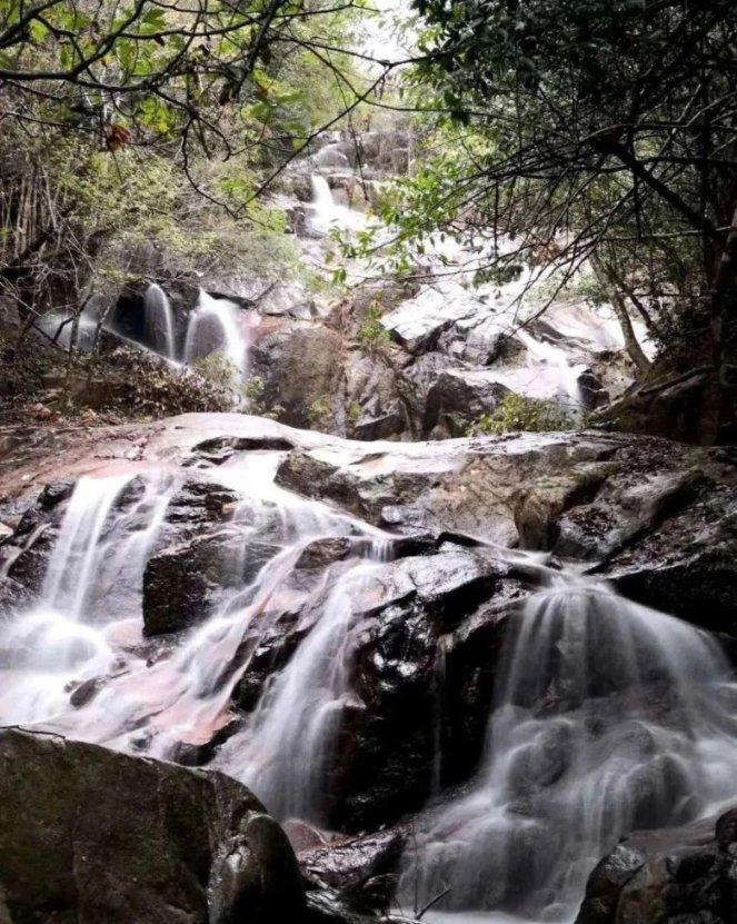 税惠浇灌 “长安花”越开越旺