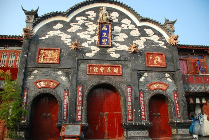 一朵花的奇幻旅行④丨乘风破浪的菏泽催花牡丹产业